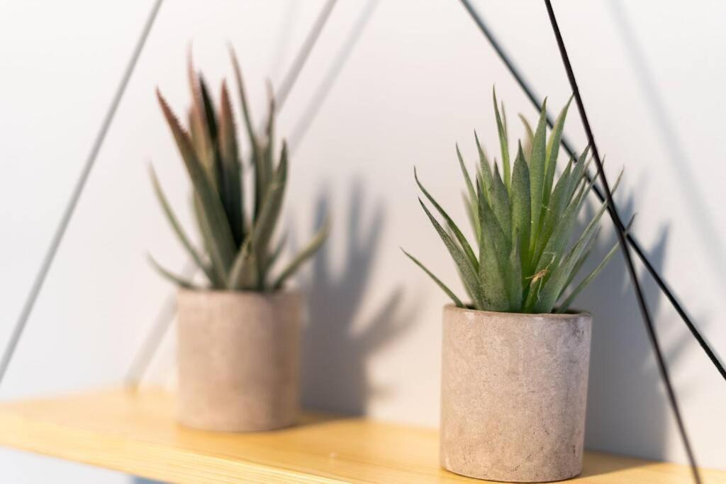 Hébergement de vacances Cacti - Cactyou - Cactus
